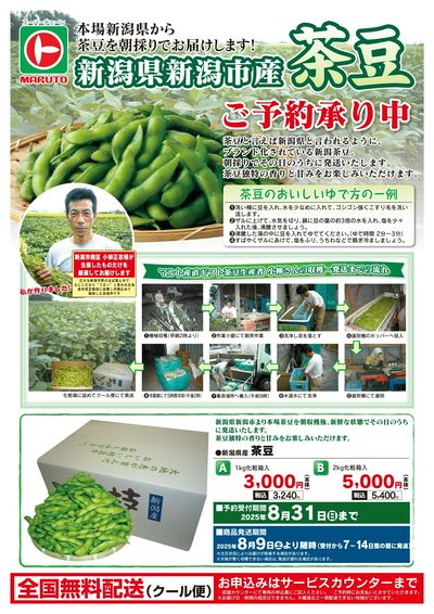 新潟県新潟市産 茶豆 ご予約承り中