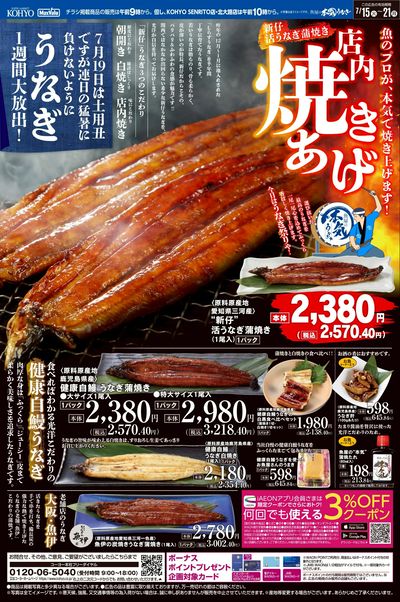 7/15 webチラシ