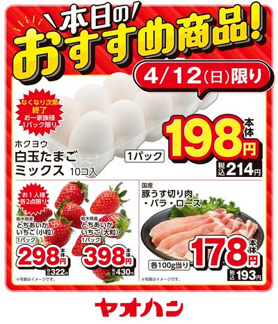 本日のおすすめ商品!