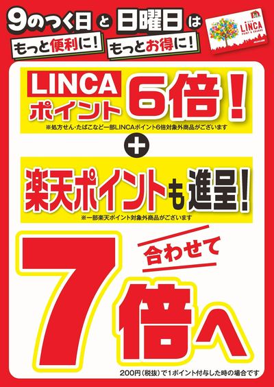 ポイントデー案内!