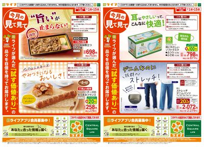 今月の見て見て