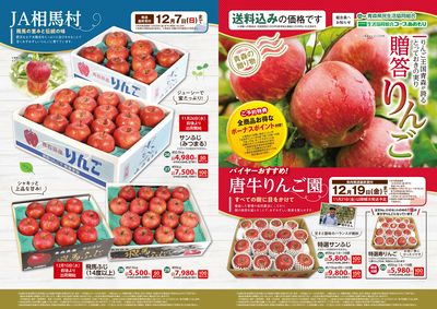 【贈答りんご】ご予約承り中!