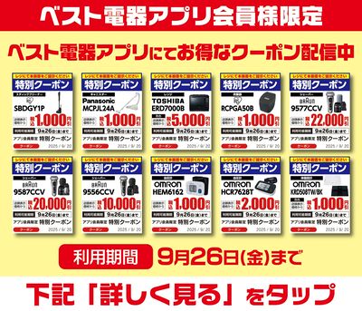 デュアルオーブ チラシ 5120×2160 pxの40インチウルトラワイド液晶「JAPANNEXT JN-5X40