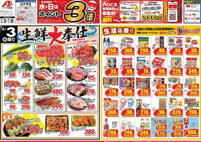 6月3日開始チラシ:表