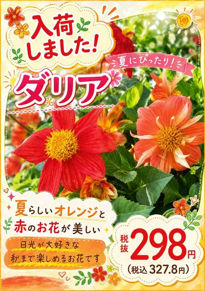 ムサシ須坂店おススメ情報!