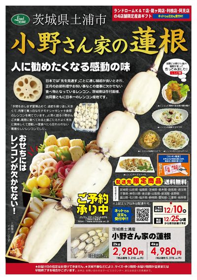 【K&T店・阿見店・龍ヶ丘店・利根店】産直・土浦れんこん