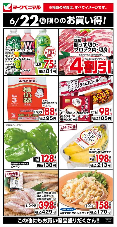 6/22限りのお買い得!
