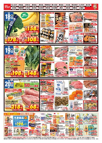 春の彩 うら1