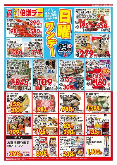 0823 Web日曜ワンデー