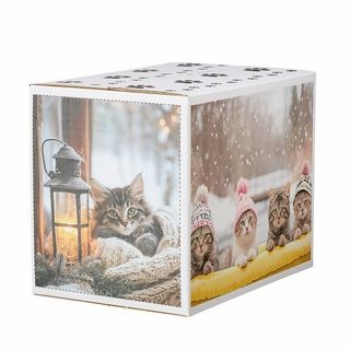 ブルーに変わるねこの紙砂 にゃん祭りデザインケース