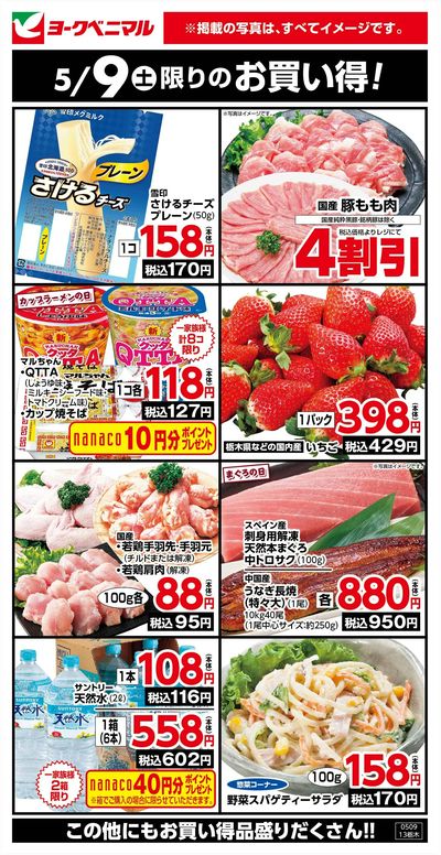 5/9限りのお買い得!