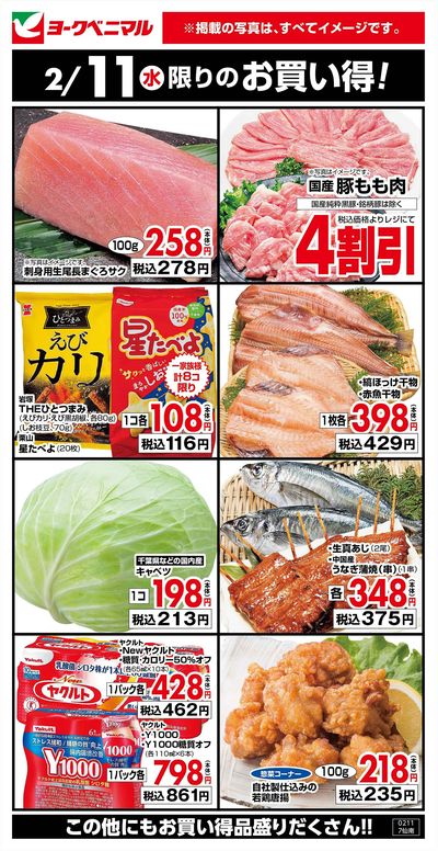 2/11限りのお買い得!