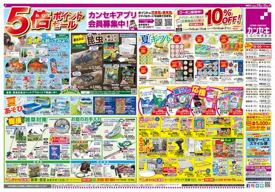 5倍ポイントセール!アプリクーポンも配信中!