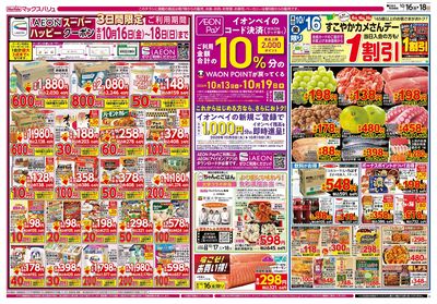 10/16号 すこやかカメさんデー/えらぼう企画:オモテ
