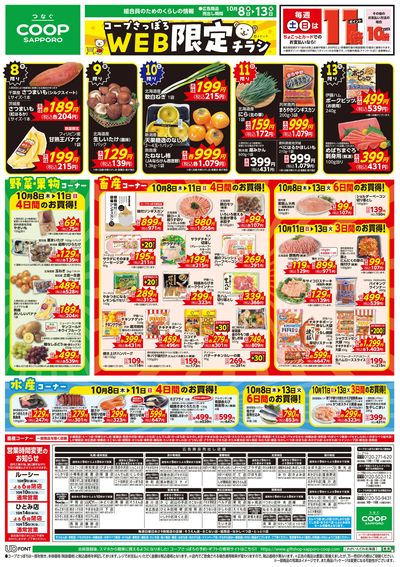 10/8号 WEB限定チラシ