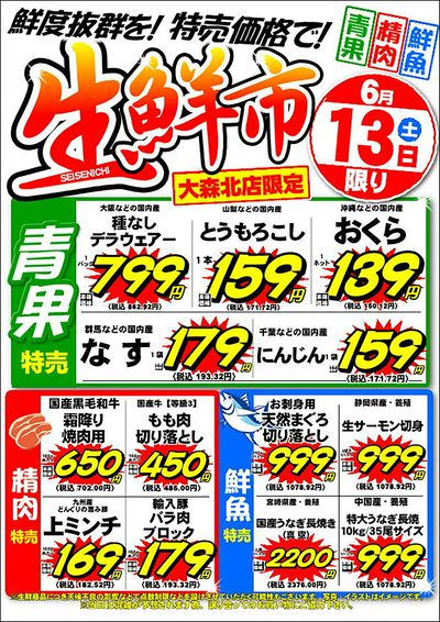 6/13(土)~6/14(日)
