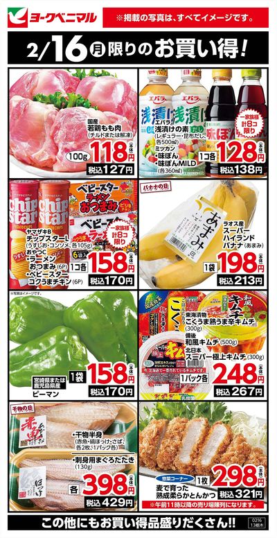 2/16限りのお買い得!