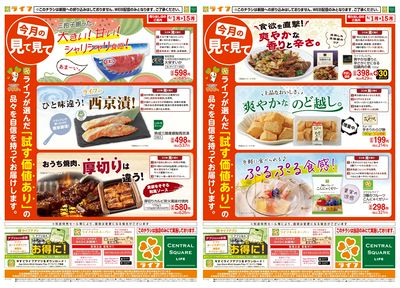 今月の見て見て