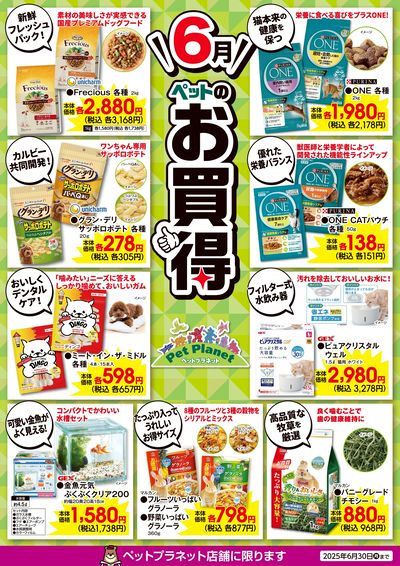 6月ペットのお買得!
