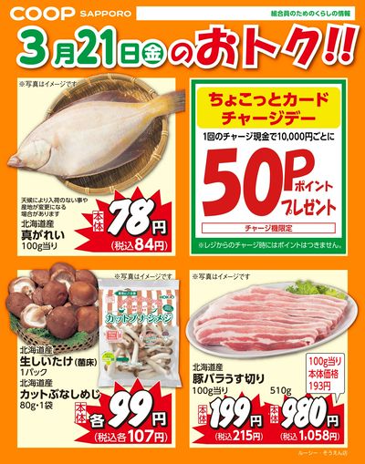 3月21日お買得品