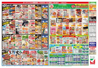 5/19号 ウラ