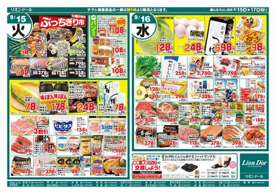 9/15号日替り3日間