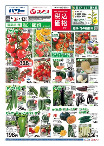 野菜苗チラシ オモテ