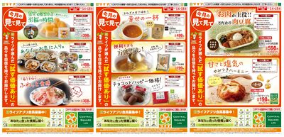 今月の見て見て