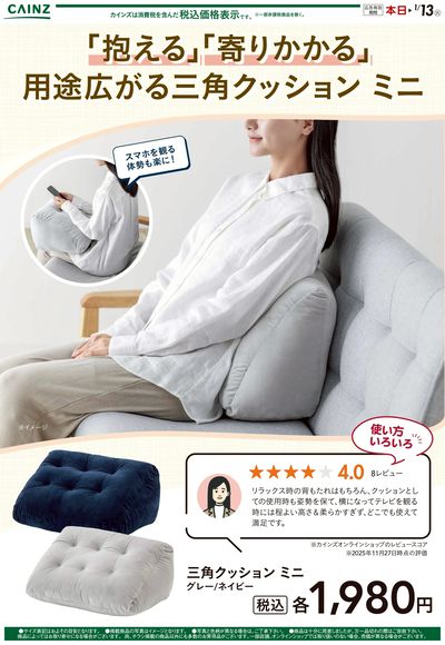 三角クッションミニ