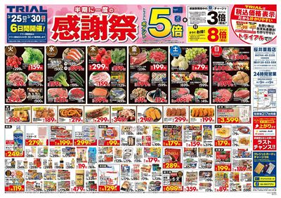 トライアル桜井粟殿店_表