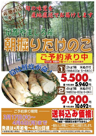 【産地直送ギフト】京都やましろ産 朝堀りたけのこ