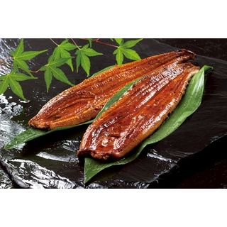 山田のうなぎ長焼 2尾入