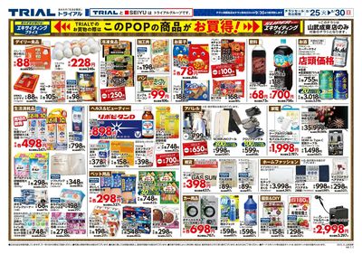 トライアル 山武成東店_裏