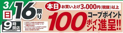 日替わり企画