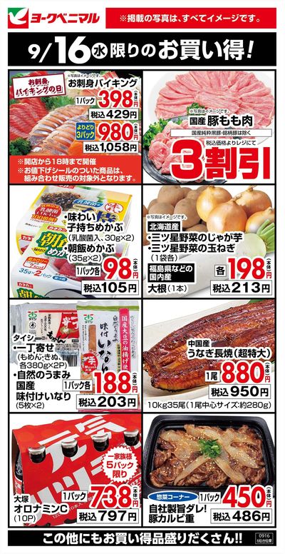 9/16限りのお買い得!