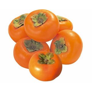 福岡県産他冨有柿