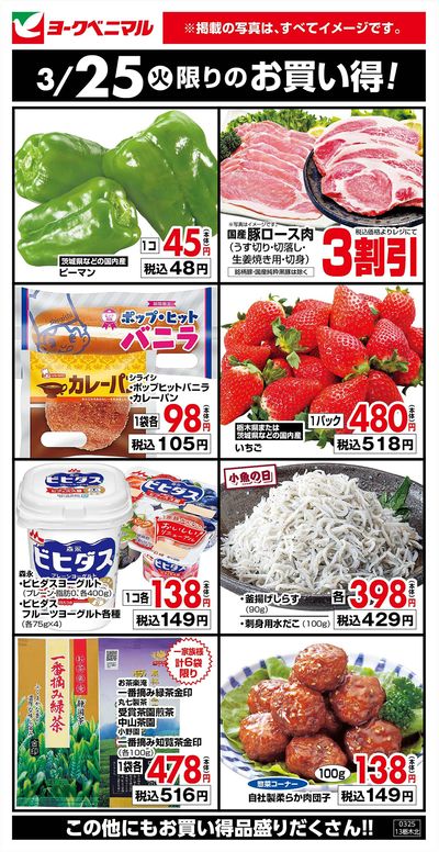 3/25限りのお買い得!
