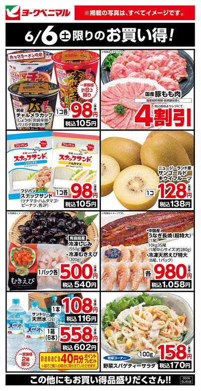 6/6限りのお買い得!