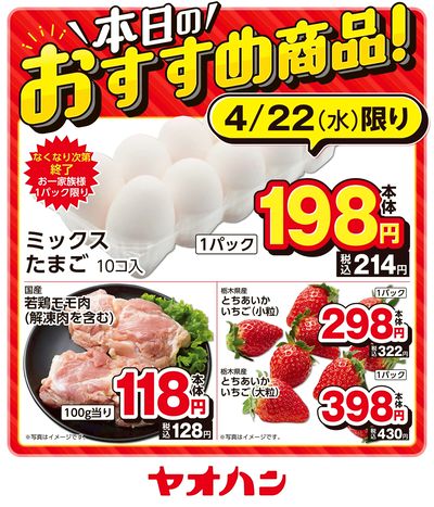 本日のおすすめ商品!