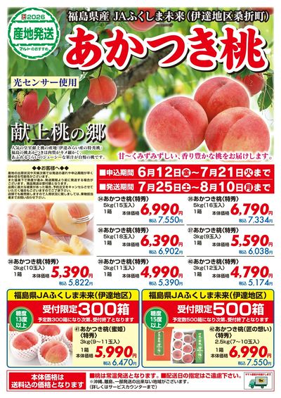 福島県産 JAふくしま未来(伊達地区桑折町) あかつき桃