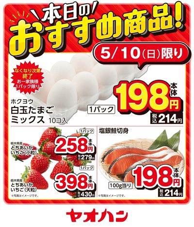 本日のおすすめ商品!