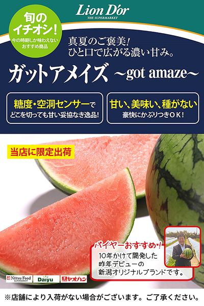 リオン・ドールのおいしさ宣言!