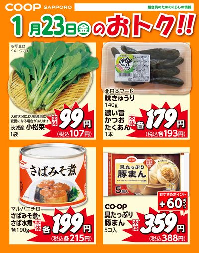 1月23日お買得品