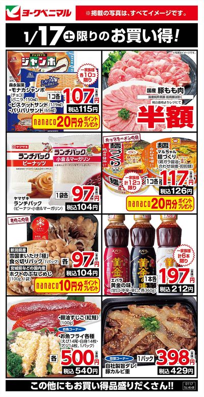 1/17限りのお買い得!