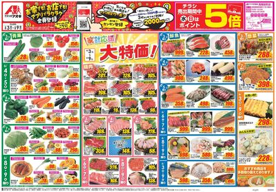 6月3日開始チラシ:表
