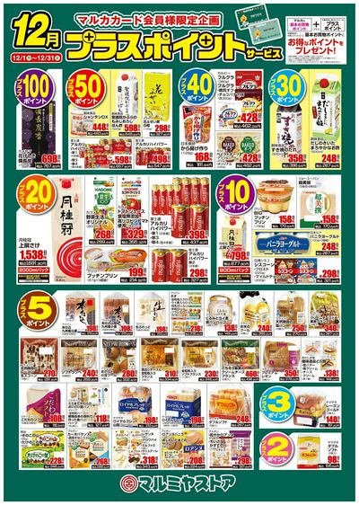 M_25.1201_31_フ゜ラスホ゜イントB2