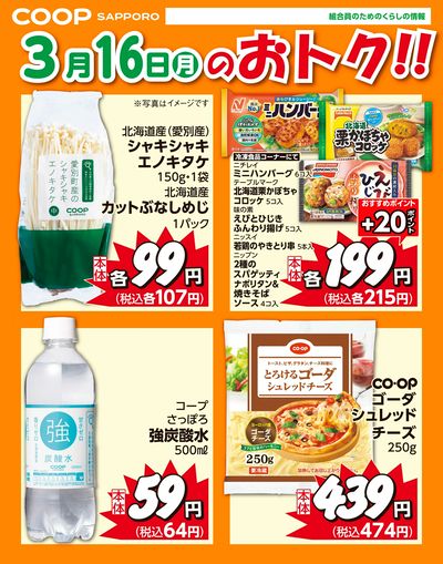 3月16日お買得品