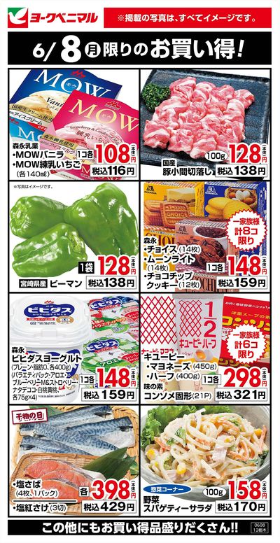 6/8限りのお買い得!