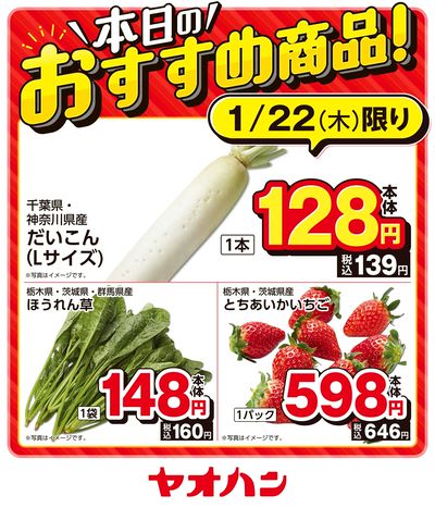 本日のおすすめ商品!