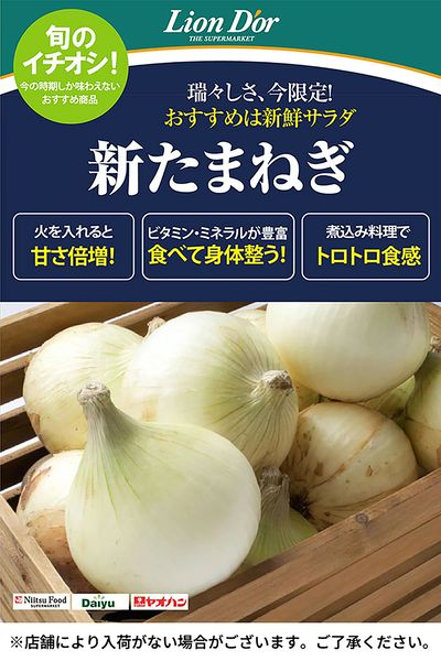リオン・ドールのおいしさ宣言!